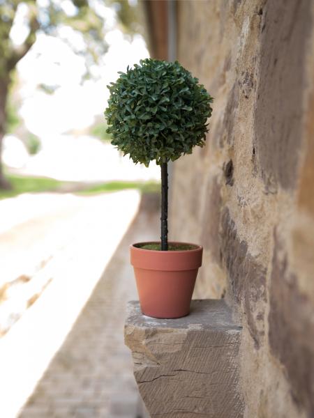 EUROPALMS Graskugelbäumchen, künstlich, PE, 39cm