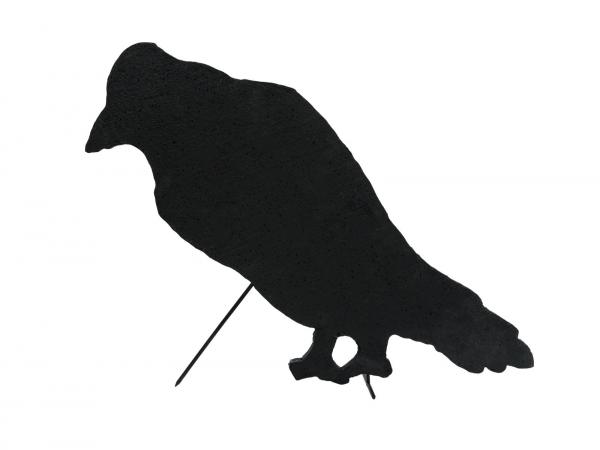 EUROPALMS Silhouette Krähe, 63cm