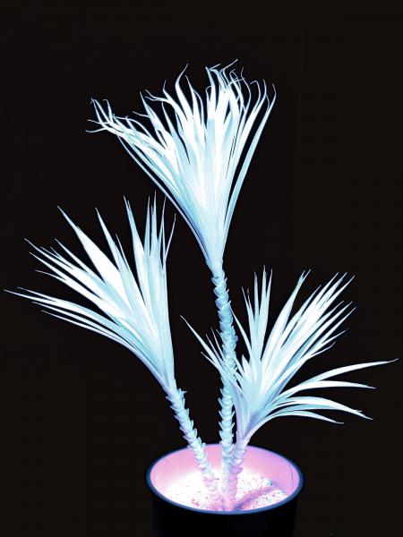 EUROPALMS Yucca, uv-weiß, künstlich,   90cm