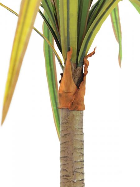 EUROPALMS Dracena, künstlich, rot-grün, 170cm