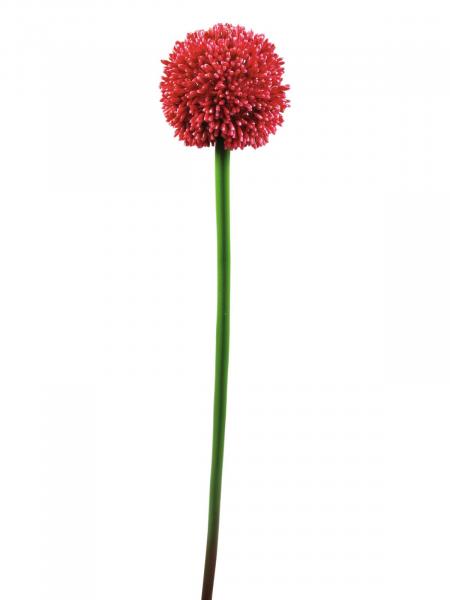 EUROPALMS Alliumzweig, künstlich, rot, 55cm