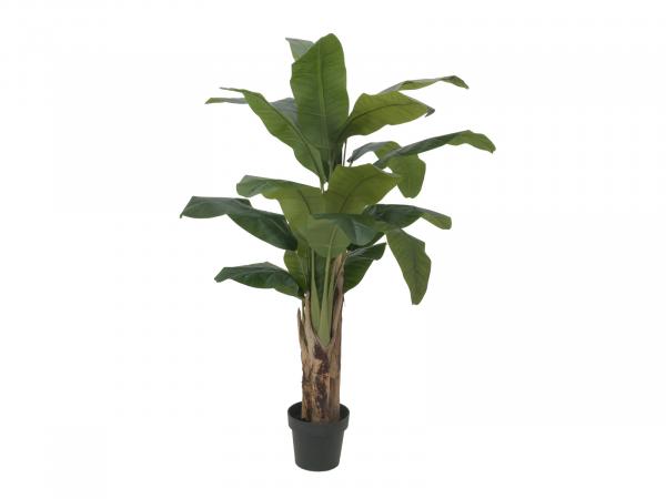 EUROPALMS Bananenbaum, Kunstpflanze, 120cm