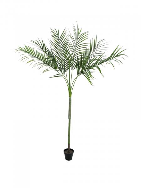 EUROPALMS Areca deluxe, Kunstpflanze, 180cm