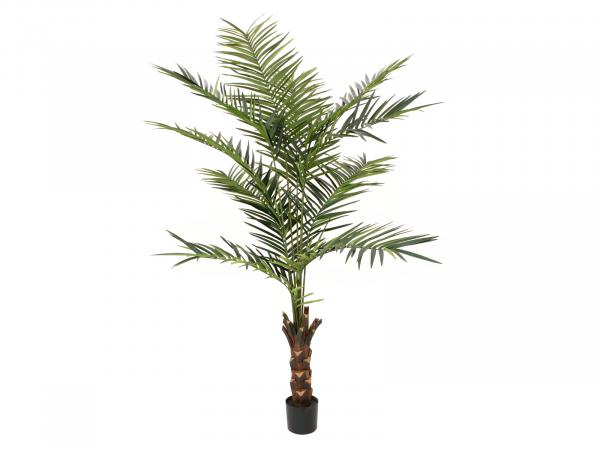 EUROPALMS Kentia Palme, Kunstpflanze, 240cm