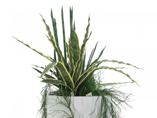 EUROPALMS Sansevieria (EVA), künstlich, grün-gelb, 74cm