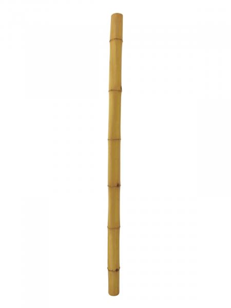 EUROPALMS Bambusrohr, Ø=12cm, 200cm