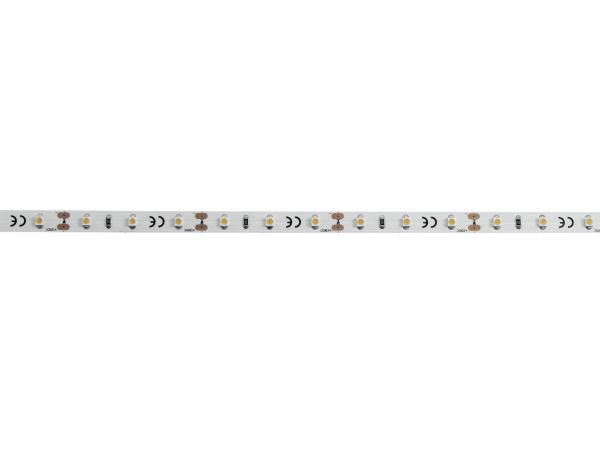 EUROLITE LED Strip 300 5m 3528 4000K 12V