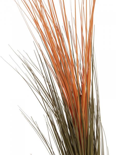 EUROPALMS Schilfgras, künstlich, hellbraun, 127cm