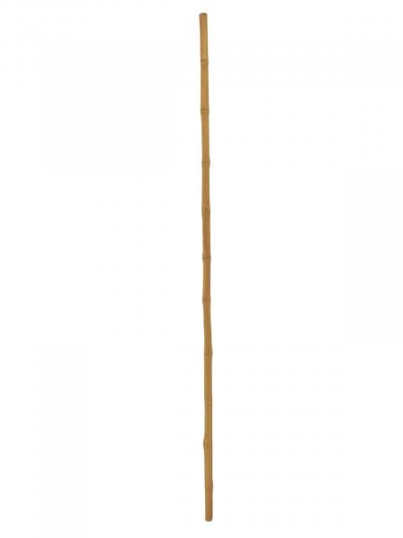 EUROPALMS Bambusrohr, Ø=3cm, 200cm