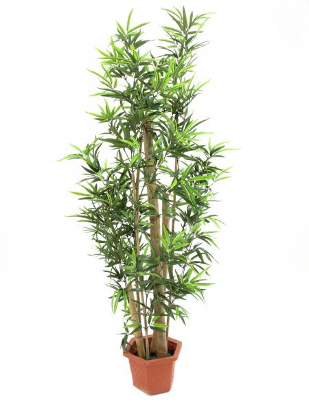 EUROPALMS Bambus mit dicken Naturstämmen, Kunstpflanze, 205cm