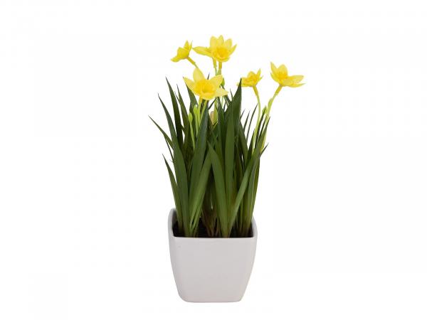 EUROPALMS Narzisse, Kunstpflanze, 23cm