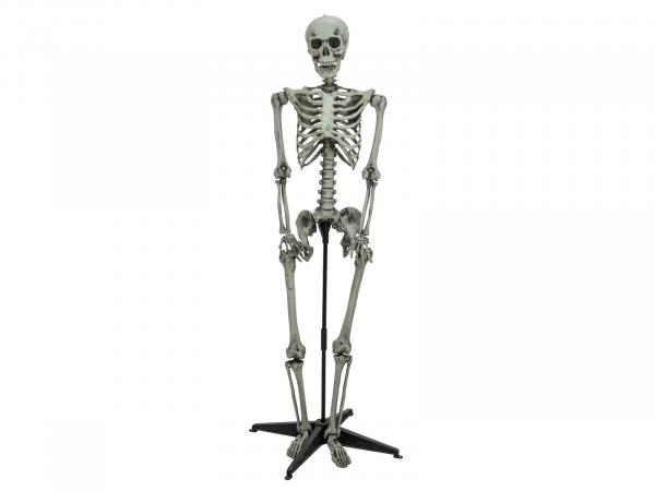 EUROPALMS Halloween Skelett stehend, 160cm